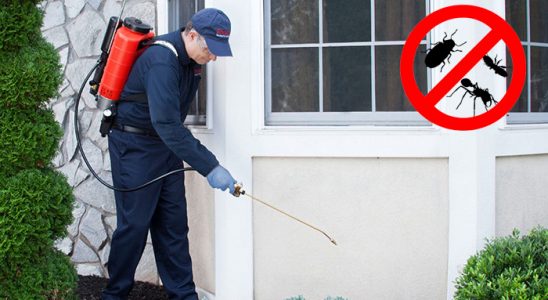 Gündoğmuş Kene İlaçlama böcek ilaçlama ve haşere kontrolü — ilaclama-tr.com